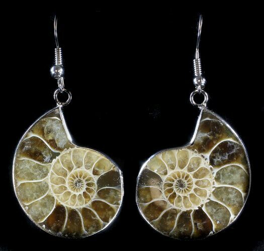 Fossil Ammonite Earrings - Million Years Old #35850